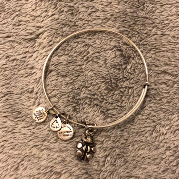 Alex and Ani bracelet - Picture 1 of 1